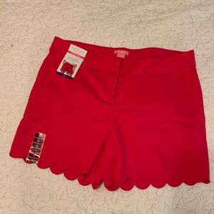 Women’s 5”Inch Tailored Casual Shorts size 16